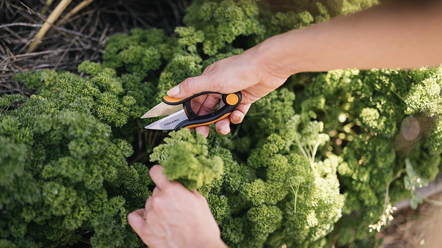 ciseaux à herbes Solid SP220 Fiskars ciseaux à herbes Solid SP220 Fiskars